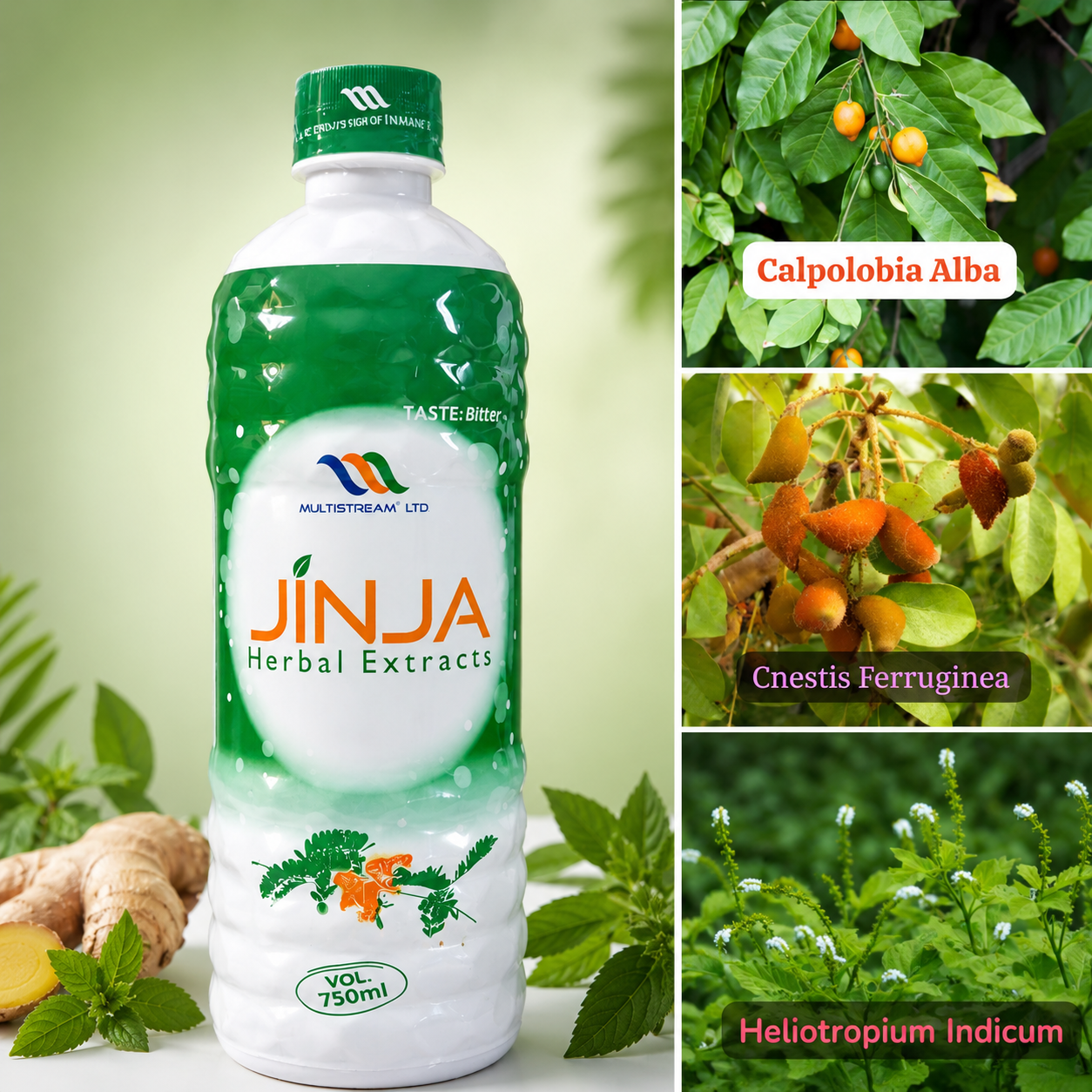 A 750ml bottle of Multistream Ltd. JINJA Herbal Extracts, featuring a green and white label with illustrations of botanicals.