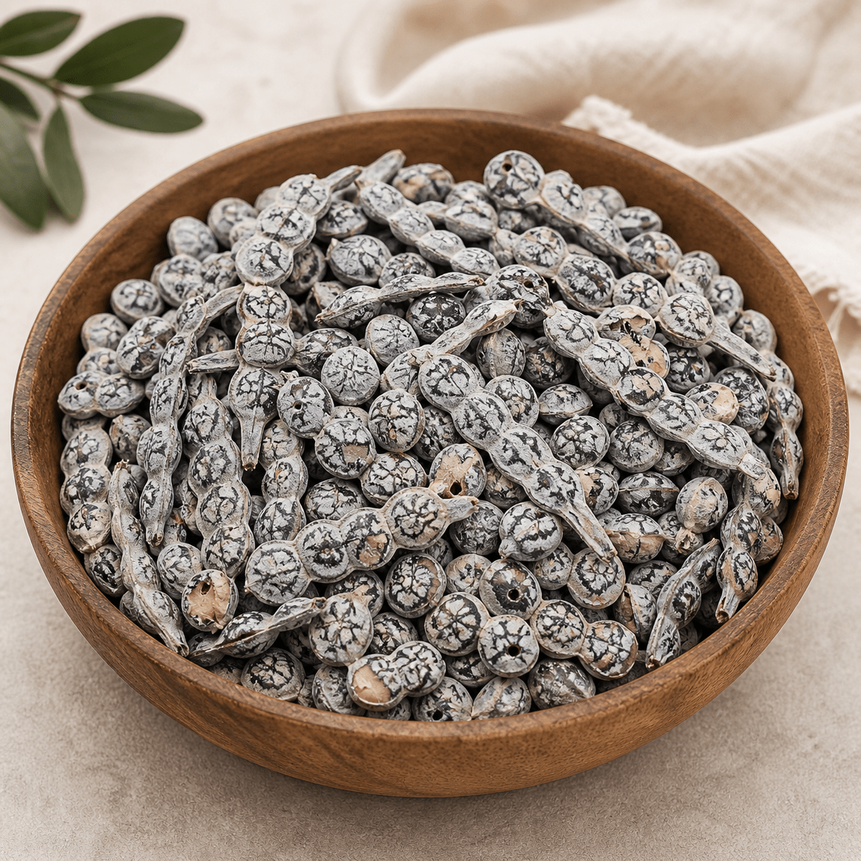 Organic Bagaruwa Seeds (Babool Phali) – Traditional Acacia Nilotica (90g) - Herbal Wellness - Cherubim Aura